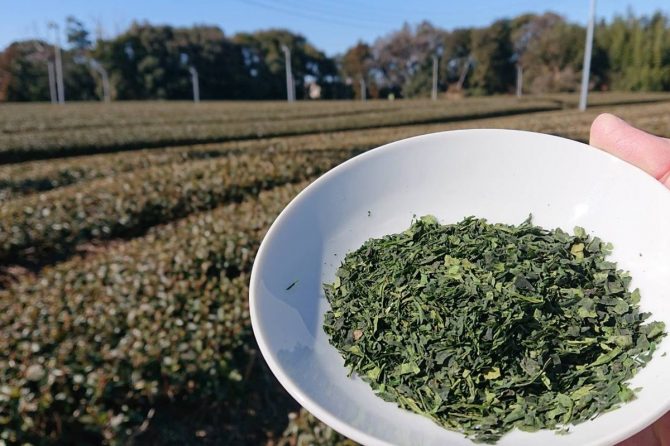 幻のお茶「碾茶（てんちゃ）」の知られざる魅力とは？アウトドアにおすすめのアレンジレシピも