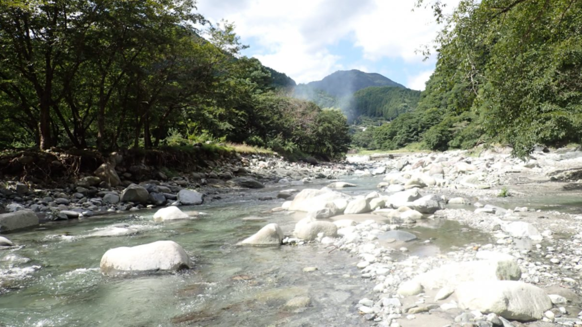 神奈川県　デイキャンプ