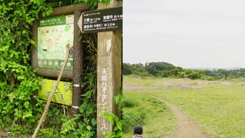 天園ハイキングコースのルート＆絶景ポイントを紹介！鎌倉アルプスを楽しもう
