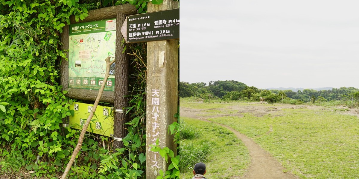 天園ハイキングコースのルート&絶景ポイントを紹介!鎌倉アルプスを楽しもう