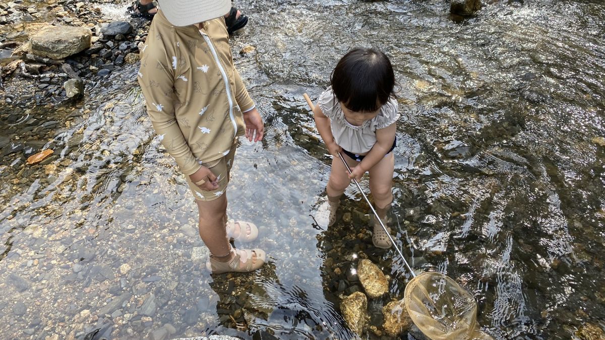 川の生き物を探す子ども
