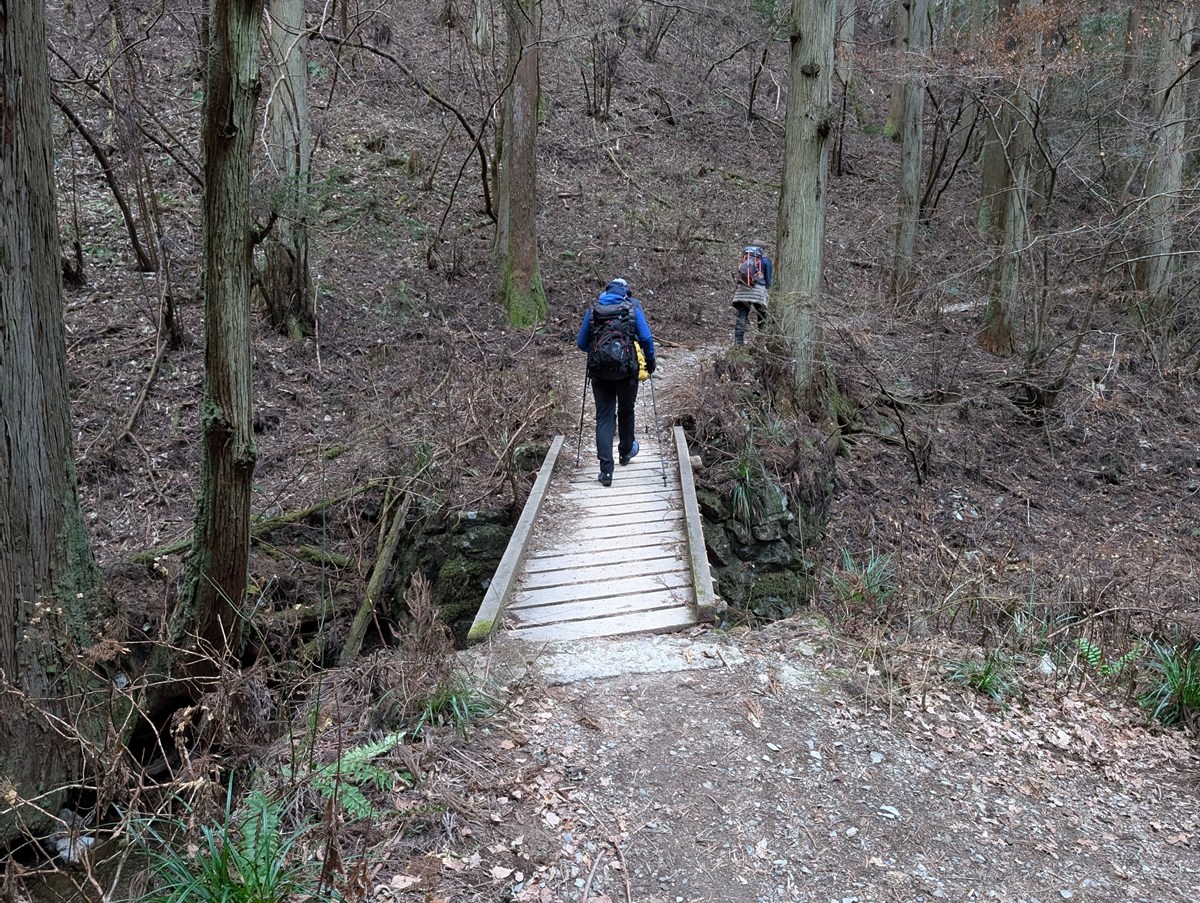 登山をする人の後ろ姿