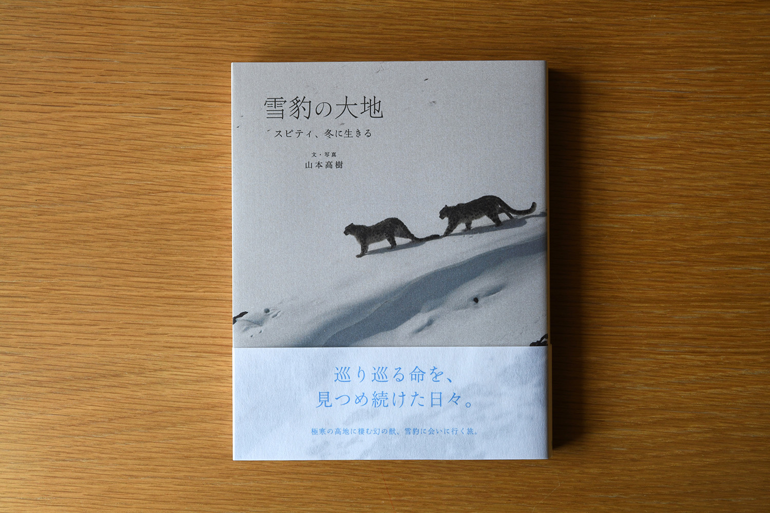 冒険紀行の著者が語る!極寒の高地で幻の「雪豹」を探し続けた冒険の日々