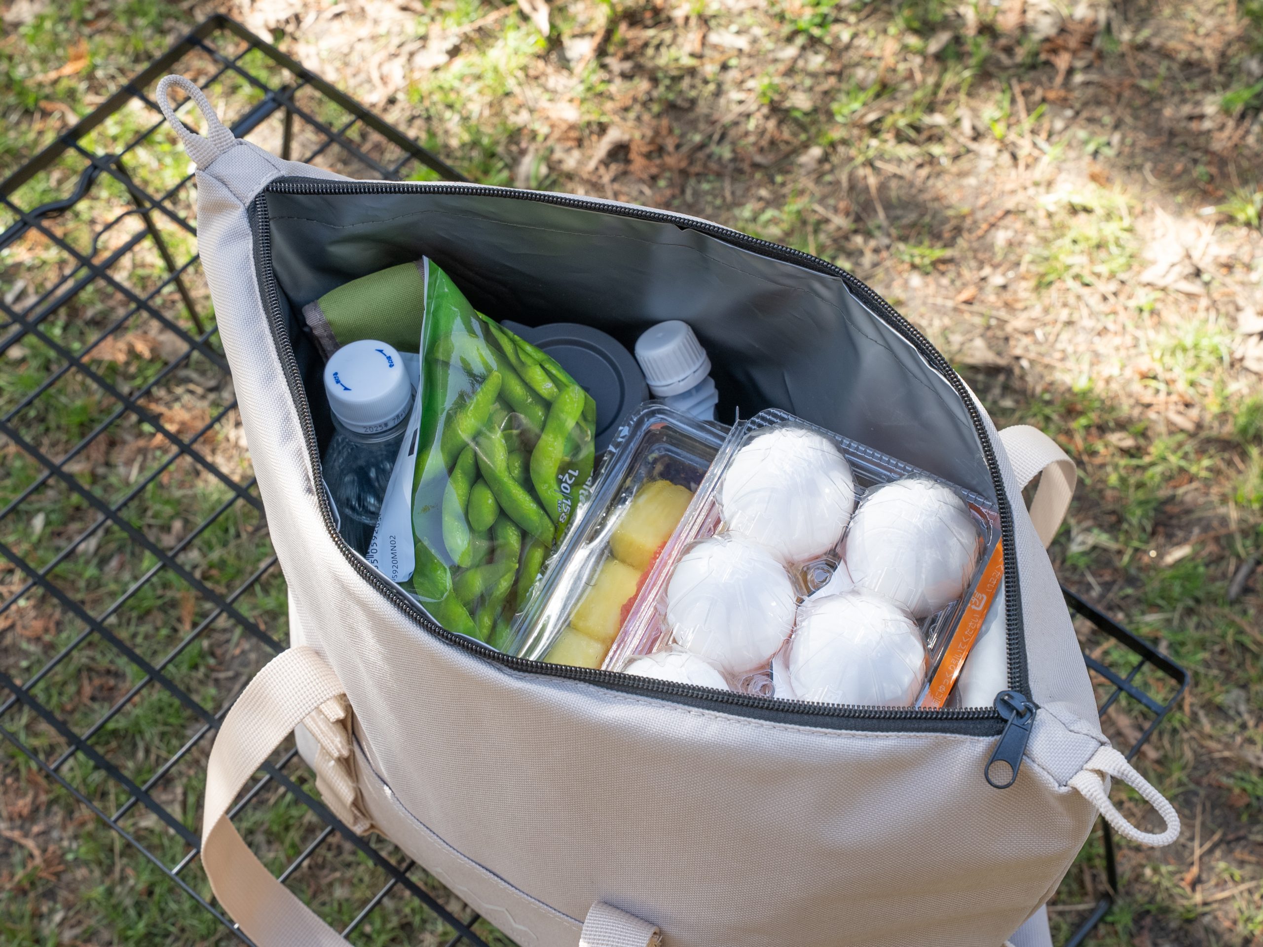 Alpen Outdoors（アルペンアウトドアーズ）／薄型ソフトクーラー10