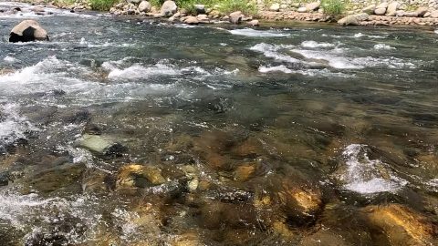 右岸と左岸ってどっち？ ヘチとは？ 渓流釣りで役立つ河川用語５選