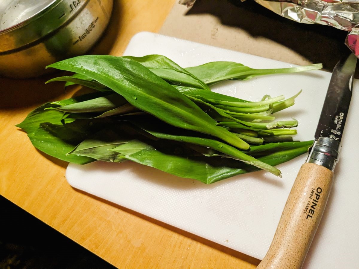 まな板のうえに置いた収穫したばかりの行者ニンニク