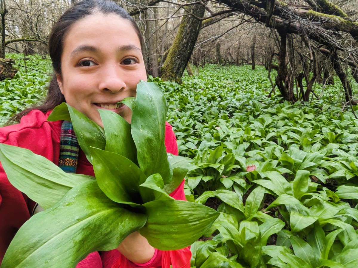 臭くて、美味くて、美しい!ヨーロッパの春の山菜採りの定番、行者ニンニクをハンガリーではどう食べる?