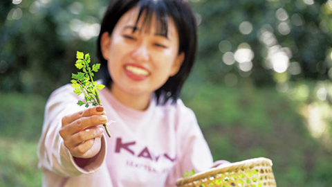 人里の野草摘みはキケンがいっぱい！まぎらわしい毒草を見抜こう