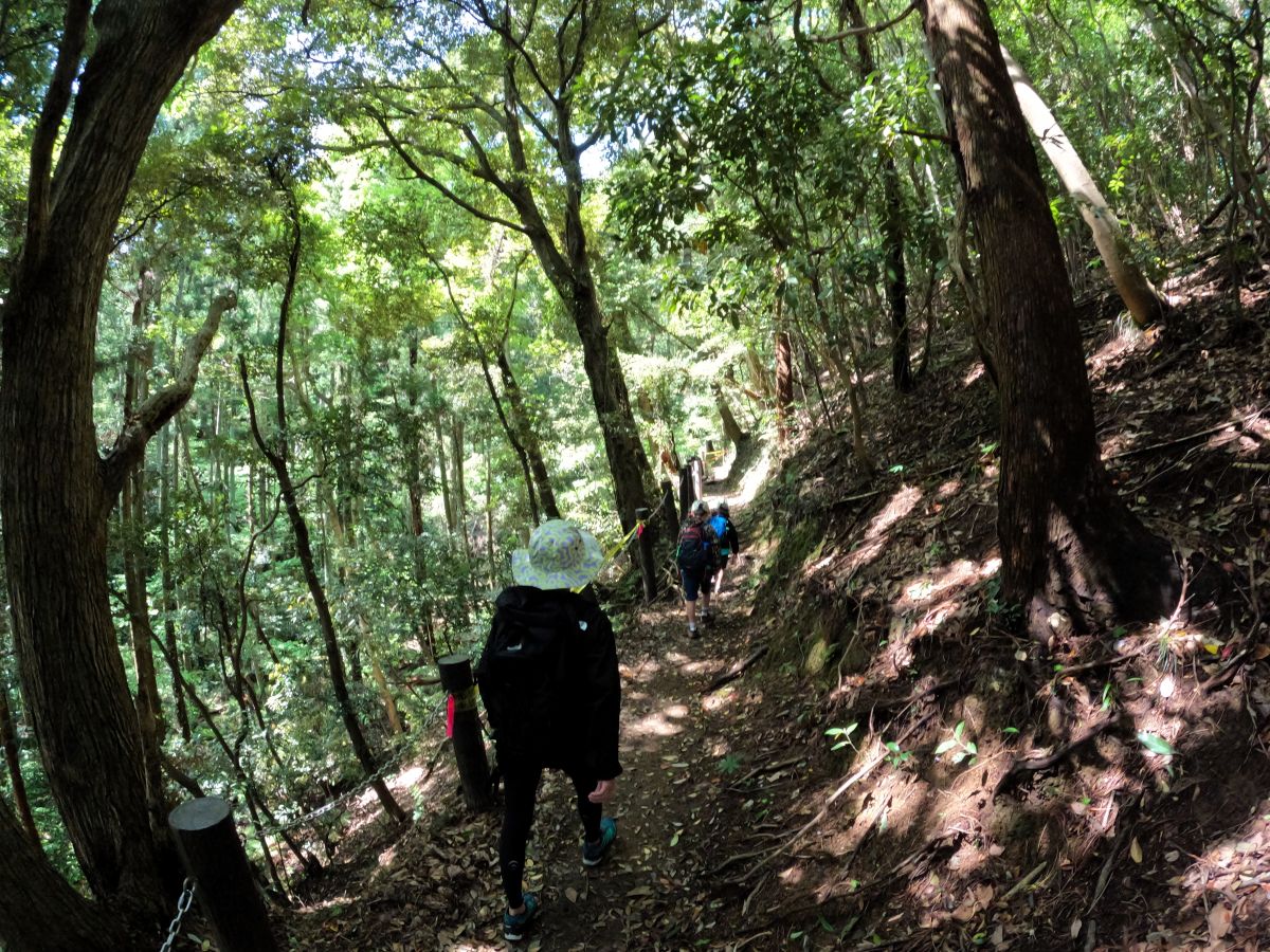 フラットな山道