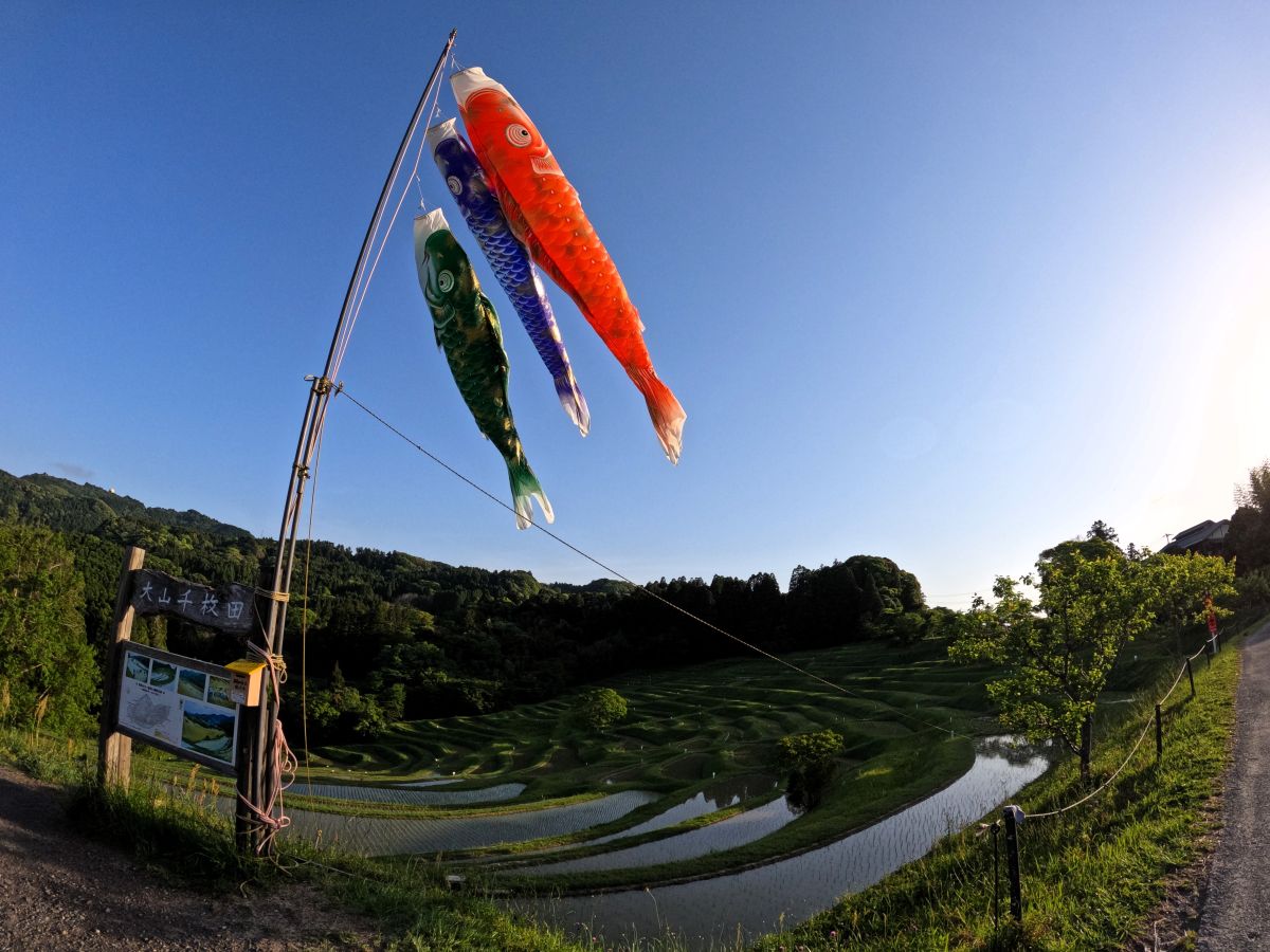 大山千枚田