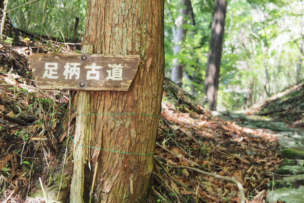 足柄古道