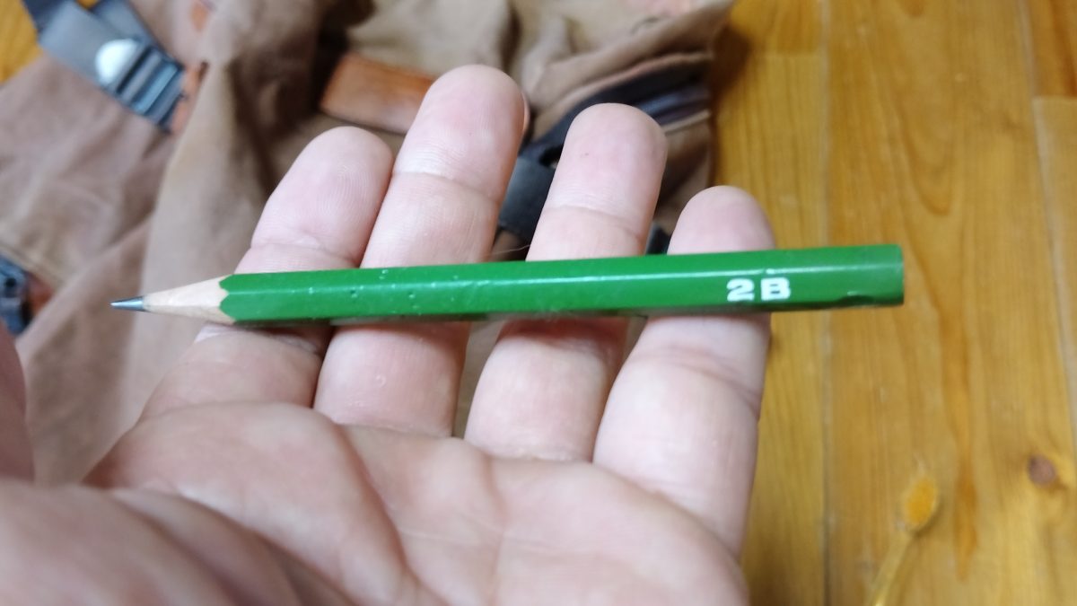 鉛筆を手に持っている様子。