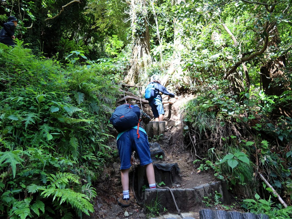 整備された登山道
