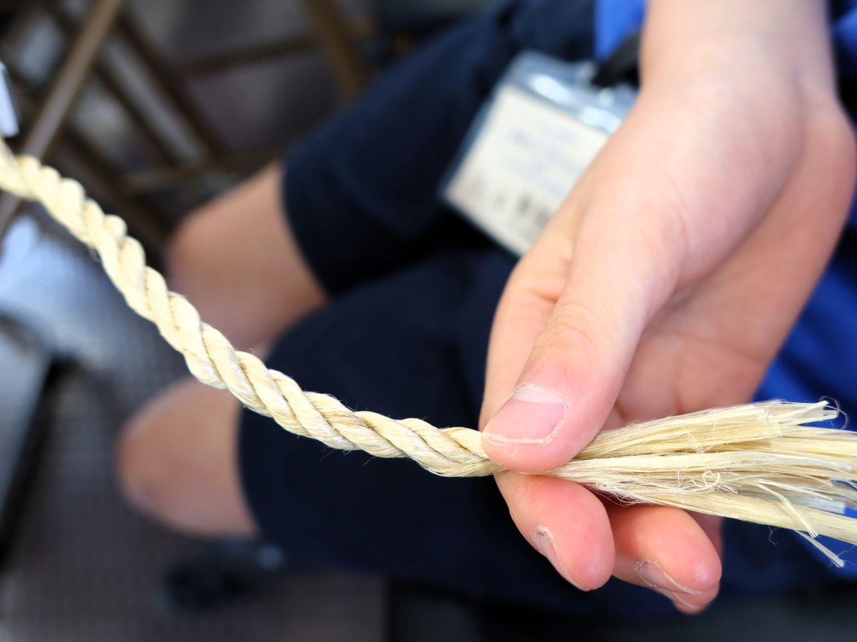麻のロープができあがる
