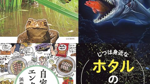 なんでも「自家製」にこだわる本。生き物との距離を縮める本。BE-PALおすすめの4冊をご紹介