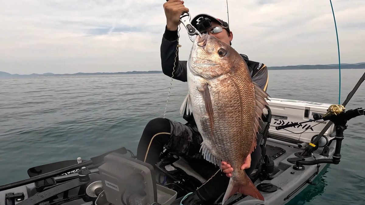 釣り上げた大型マダイ