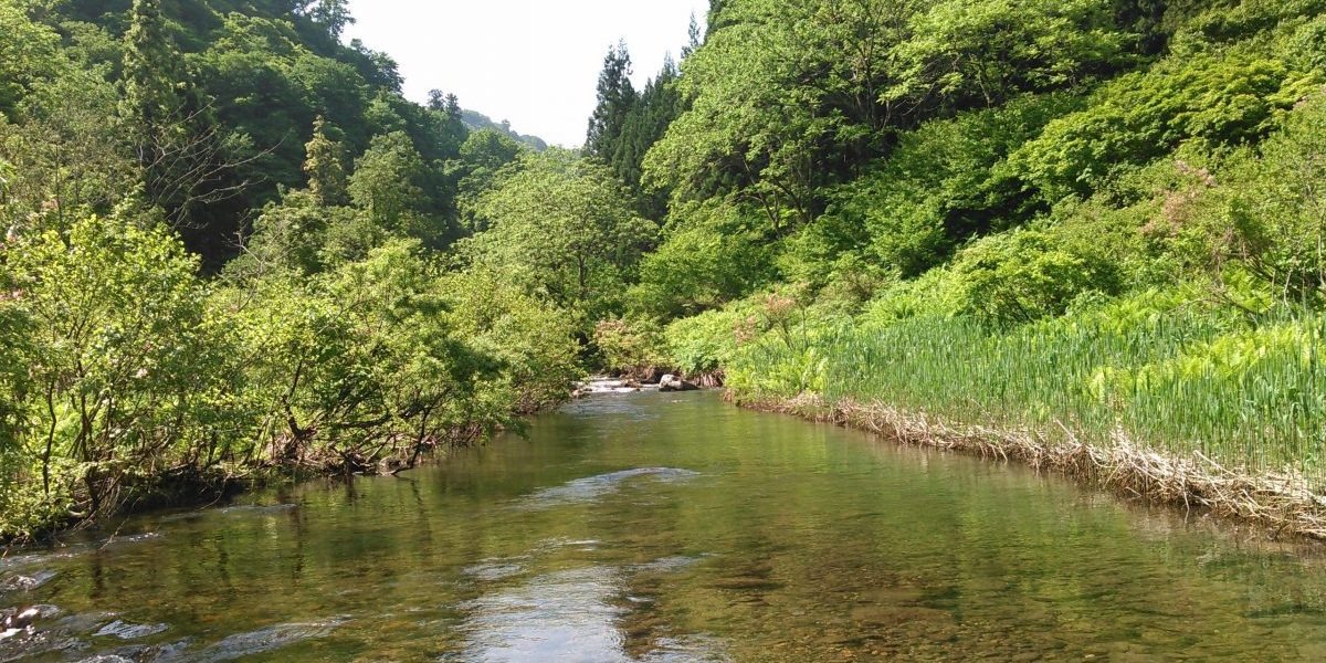 渓流の景観