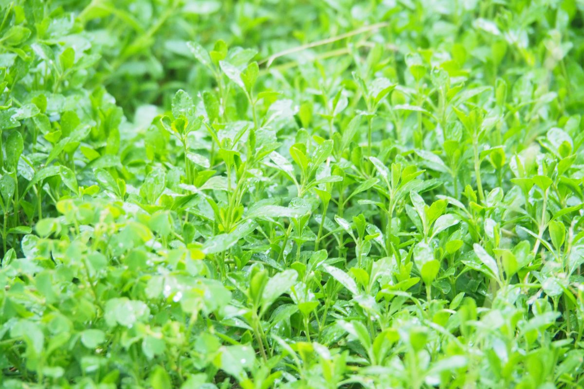 火器周辺は可燃物に注意