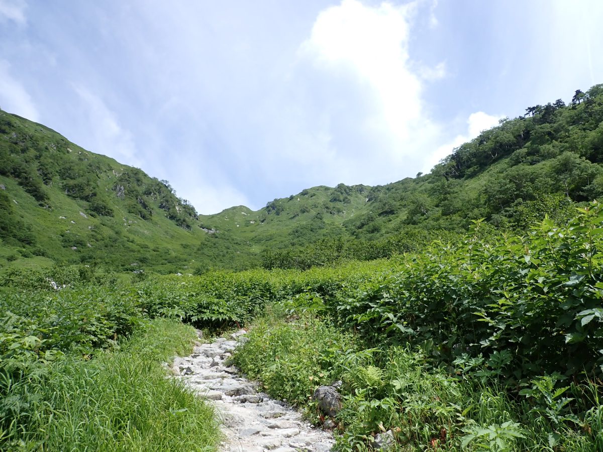 登山道
