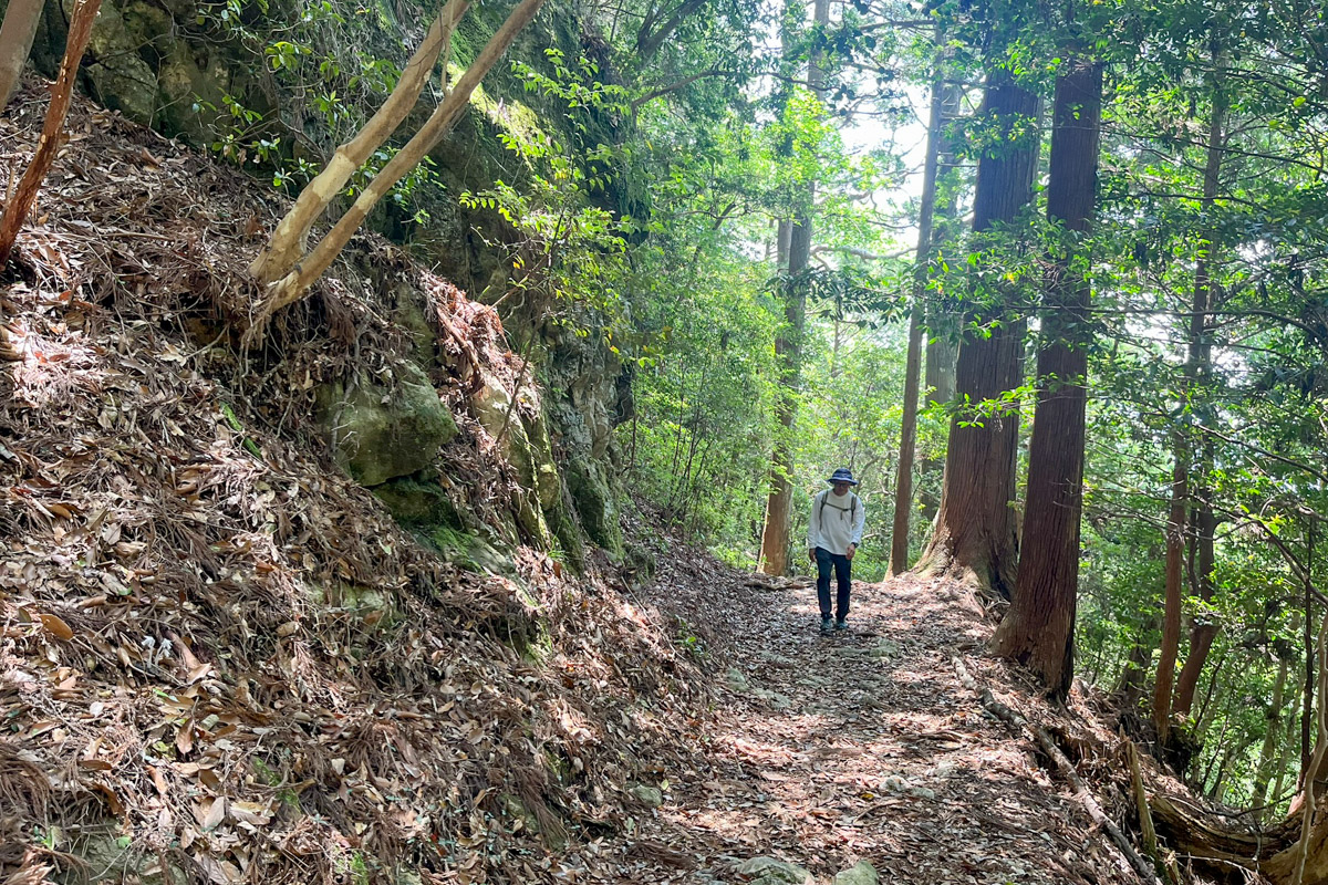 山道を歩く筆者