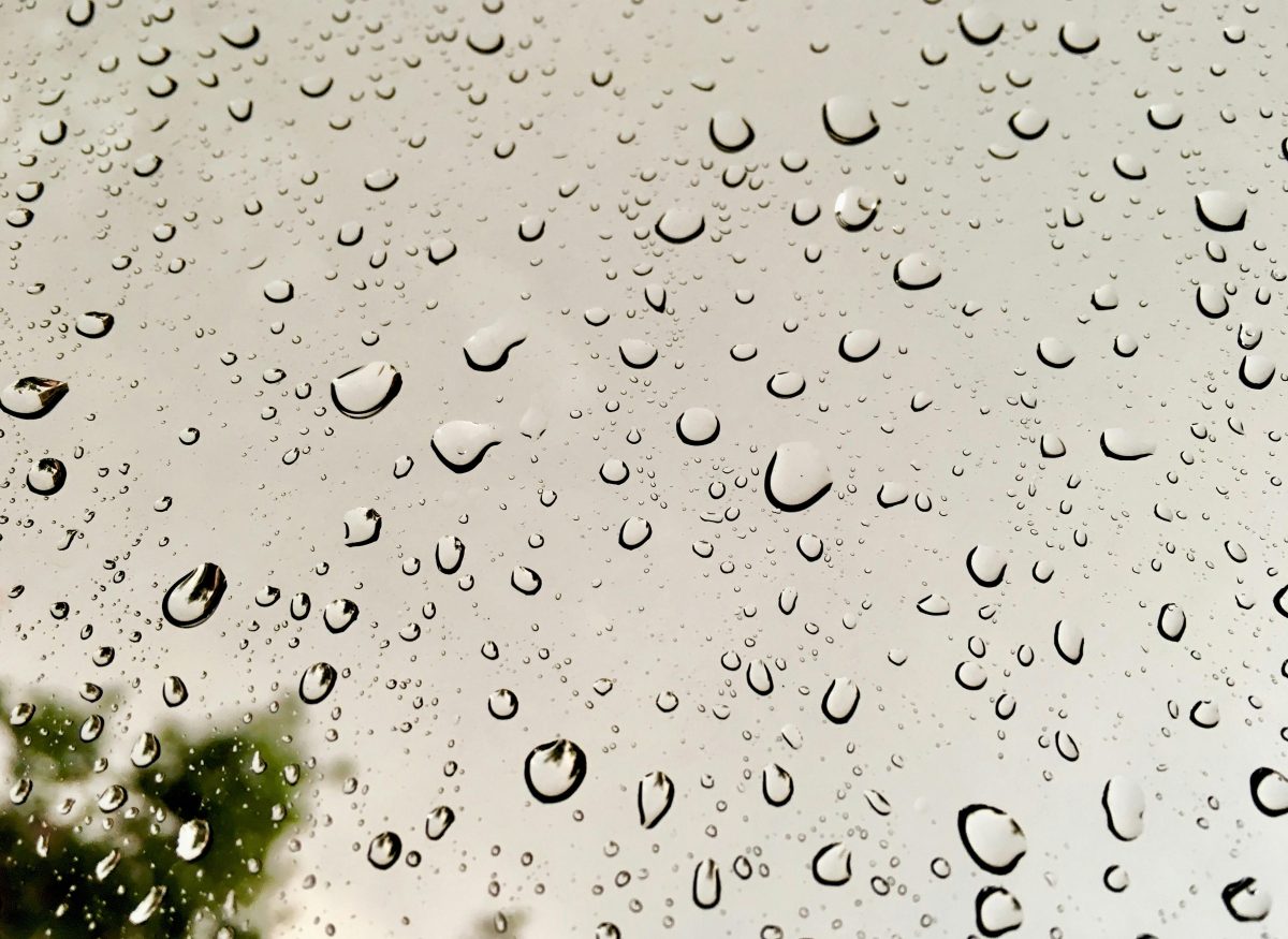 雨の水滴