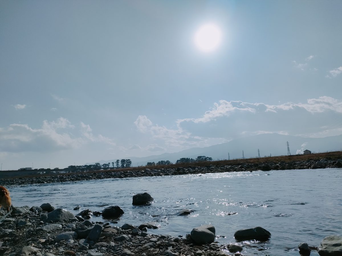 川と日差し