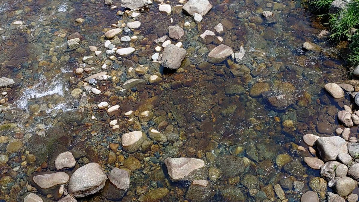 橋から見下ろした河川