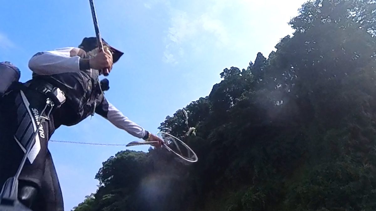 引き抜き