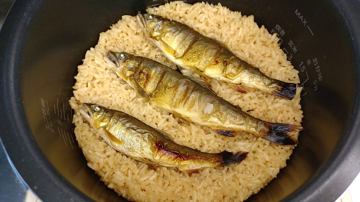 アユめし