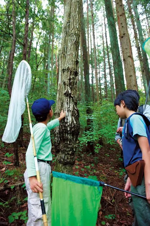 虫を探す子どもたち