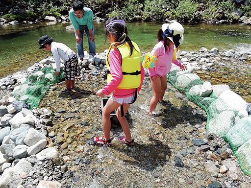 魚を捕まえようとする子供たち