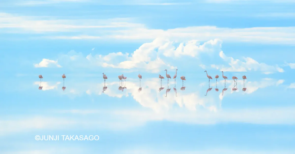 鳥取で自然写真家・高砂淳二さんの写真展を開催！「この惑星（ほし）の