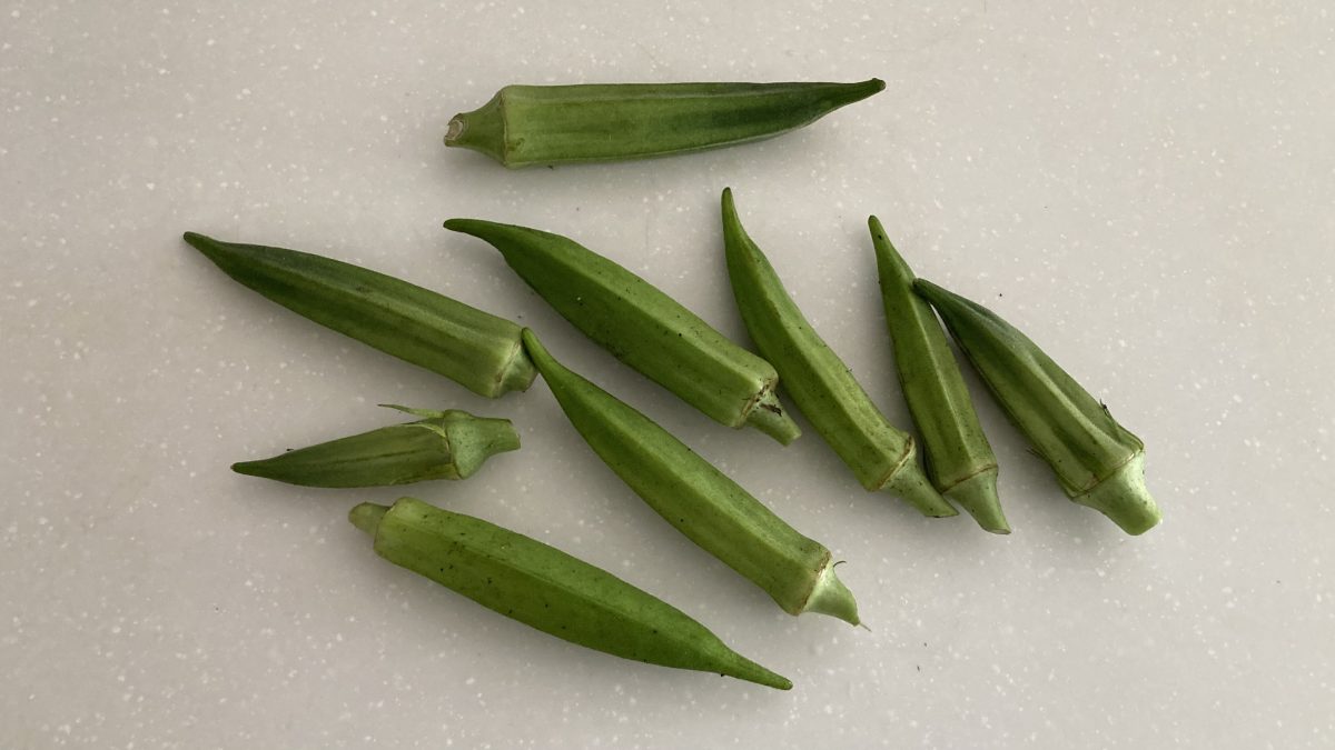 オクラの茹で方を知ろう！プロ級味のオクラ料理に挑戦