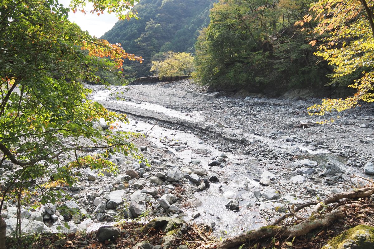 沢沿いの野営地。