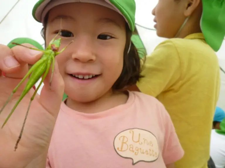 バッタを掴んだ子供