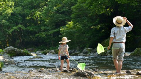東京の川遊びスポット18選！水遊びが気持ちいい子連れにおすすめの公園やキャンプ場【2026年最新】