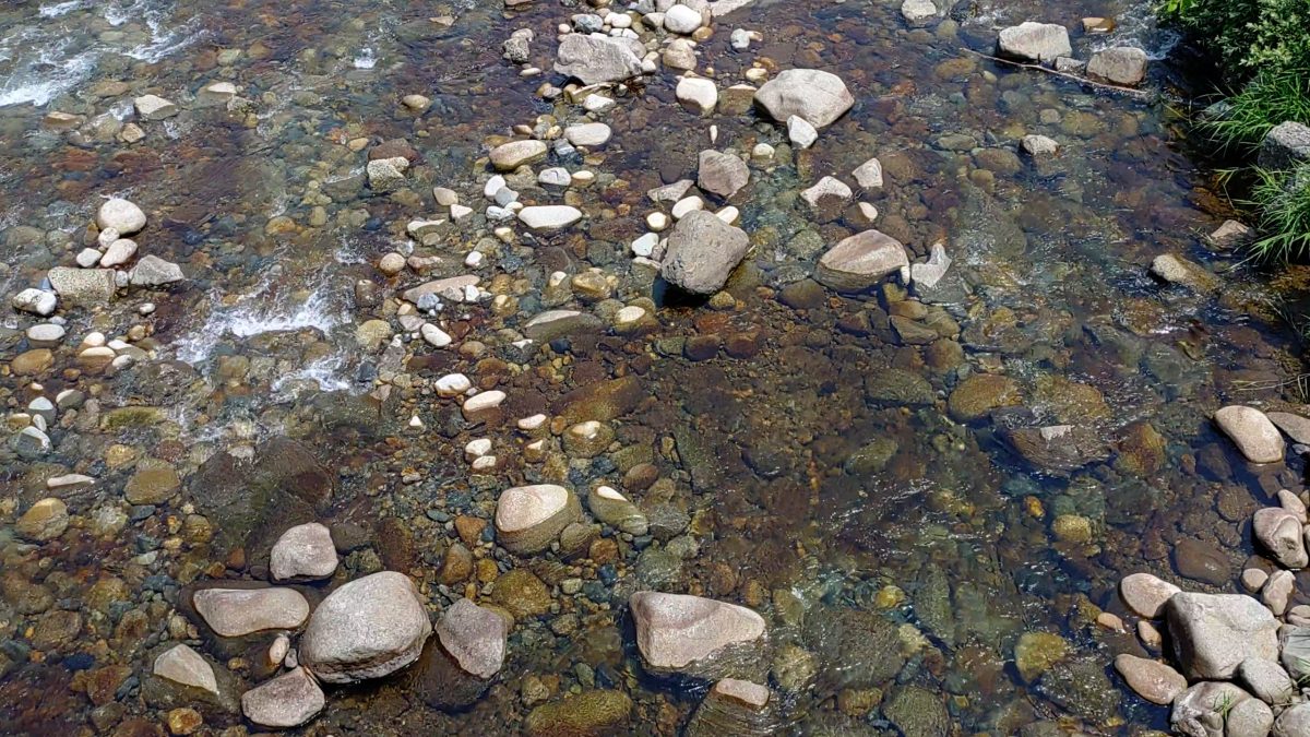 橋から見下ろした川