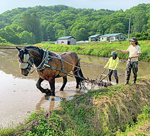 オフグリッド、農場内、馬とともに…大自然の恵みを体感できる、北海道の自然派な宿９選