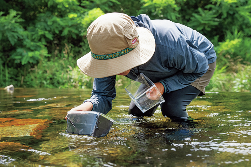 カジカ釣りに挑戦！簡単なのに釣りの魅力が詰まってる「見釣り」で頑張ったぞ～