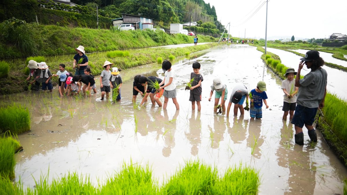 田植え