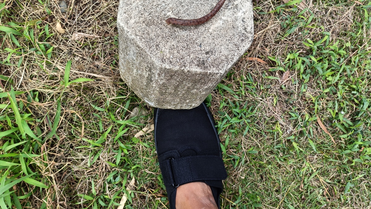 安全靴の上にコンクリのブロックがのった様子。