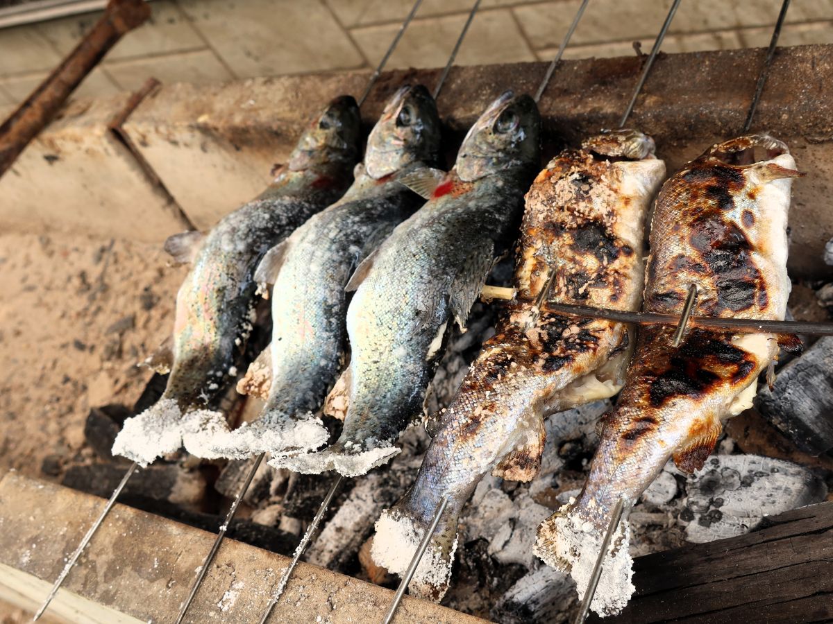 ニジマスの塩焼き