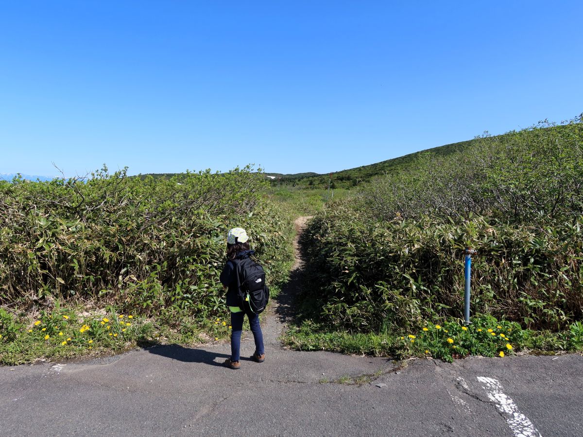 登山口を発見した子供