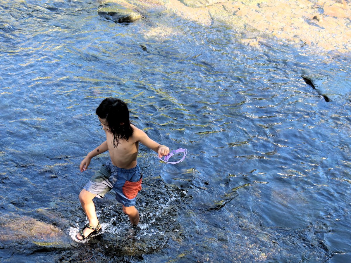 川遊びする子ども