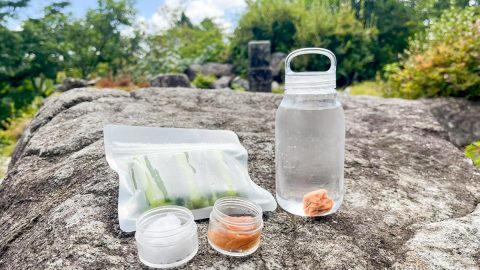 アウトドアの塩分補給は“梅干し”がいい！夏バテと熱中症対策におすすめの活用術
