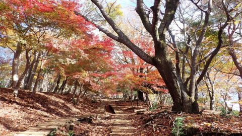 秋の山に登るなら準備は万端に！夏山との違いと基本装備について解説