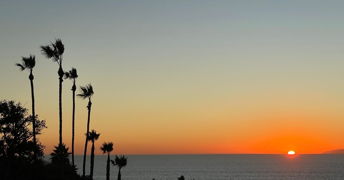 ヤシの木が減少している!?変わりつつある「ロサンゼルスっぽい」風景