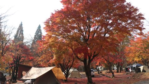 ひと足早く紅葉が楽しめる！空気がさわやかな高原のキャンプ場5選
