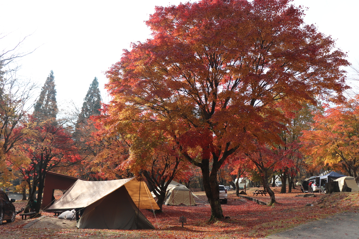 ひと足早く紅葉が楽しめる！空気がさわやかな高原のキャンプ場5選