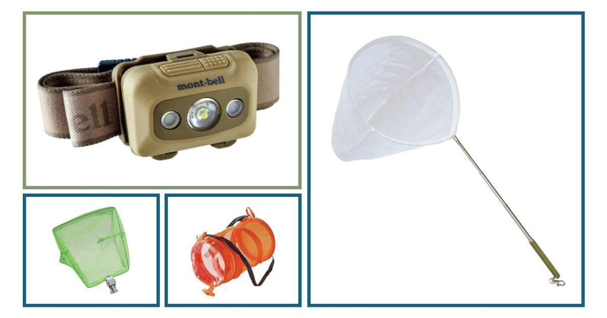 手軽でとっても役に立つ！初心者におすすめの昆虫採集＆観察道具9選